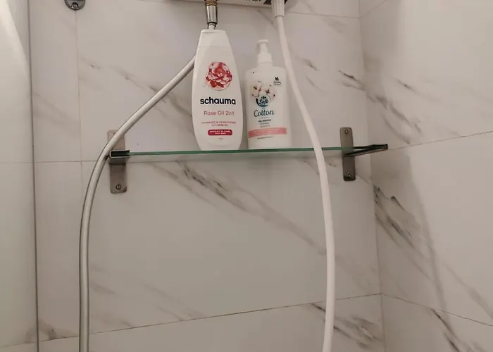 Kriss Mihaileanu アパート